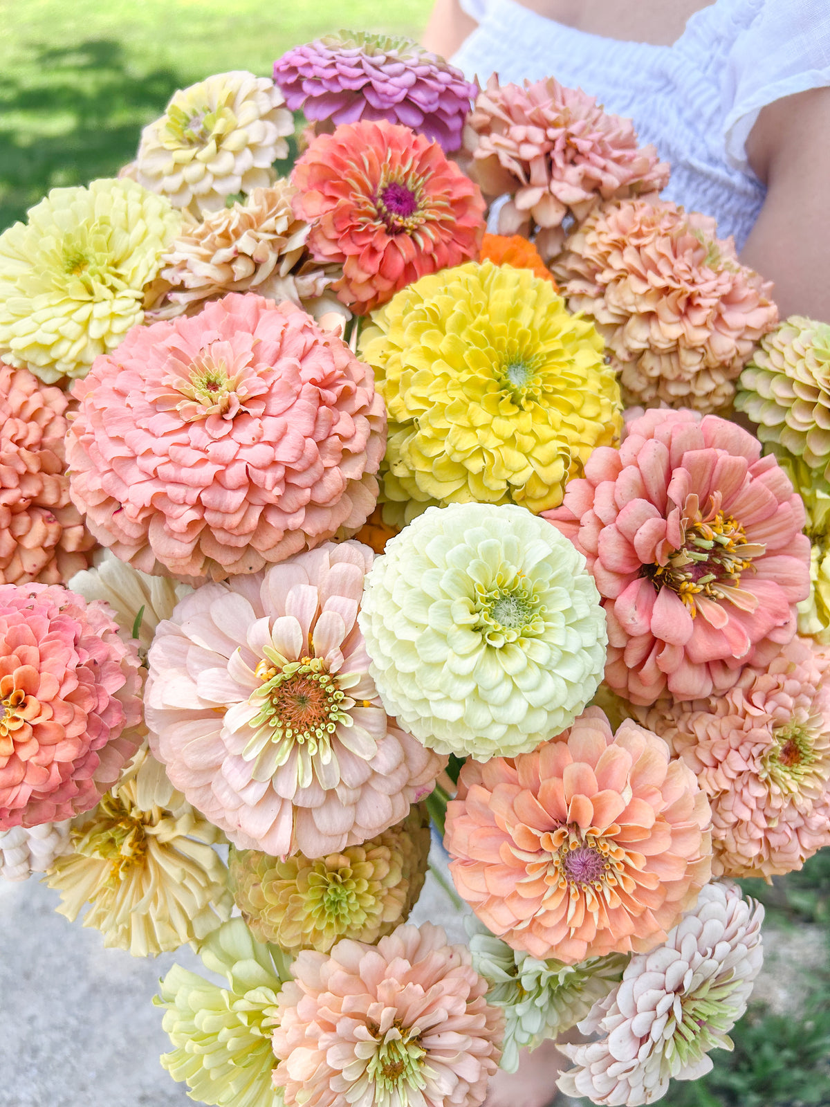 The Fairy Mix