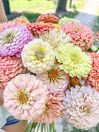 The Fairy Mix