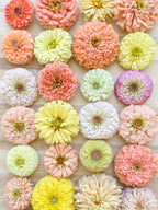 The Fairy Mix