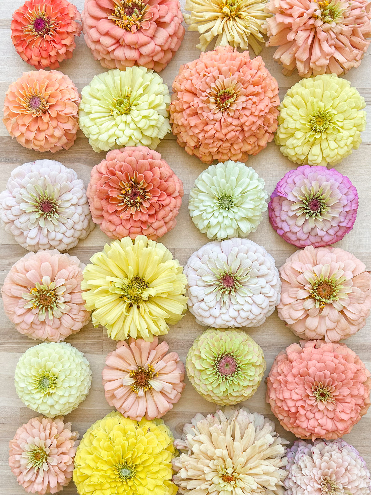 The Fairy Mix