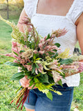 Blushing Meadow Celosia
